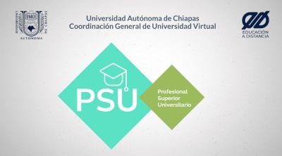 Profesional Superior Universitario
